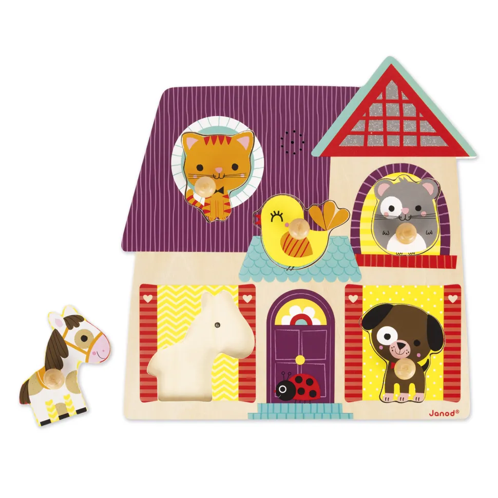 Encastrement musical 5 pièces : Mes petites compagnons - Janod