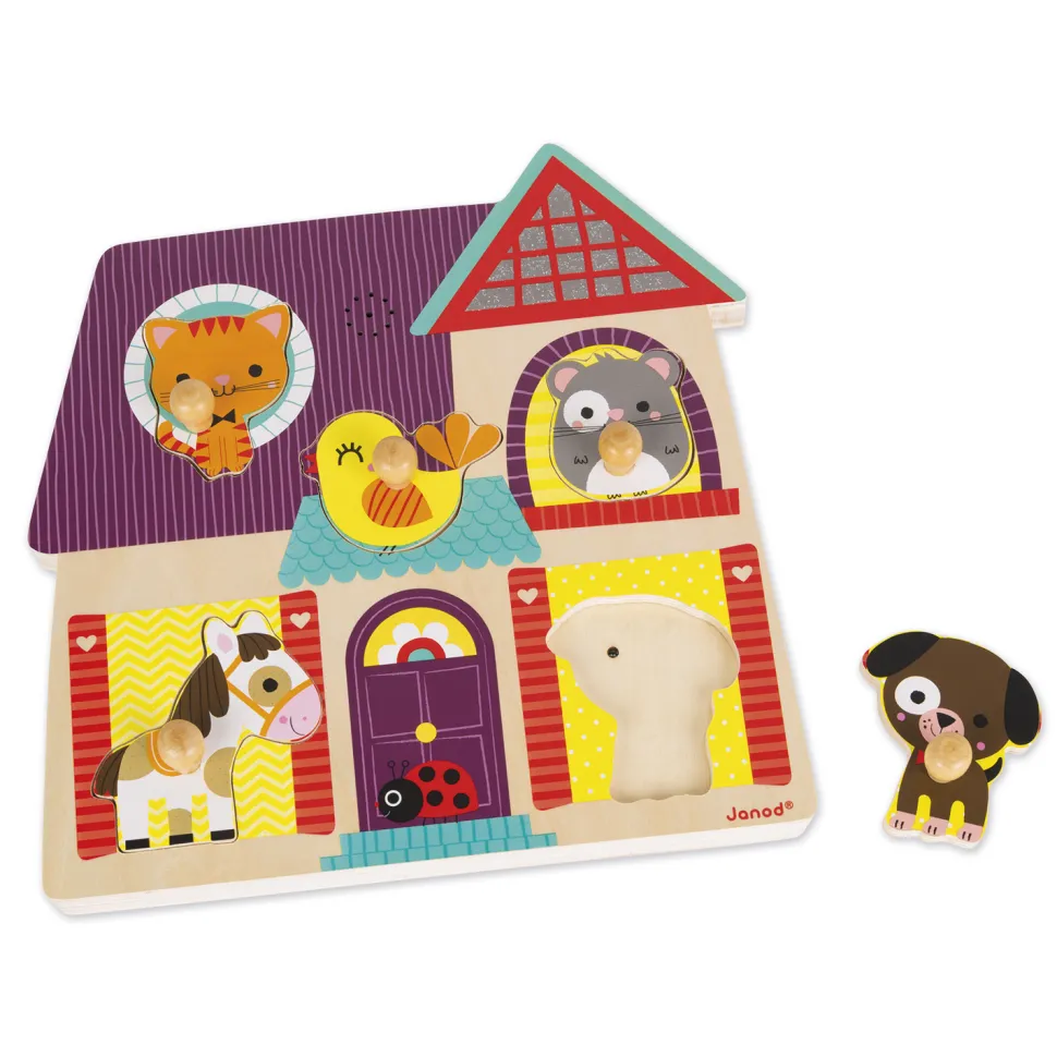 Encastrement musical 5 pièces : Mes petites compagnons - Janod