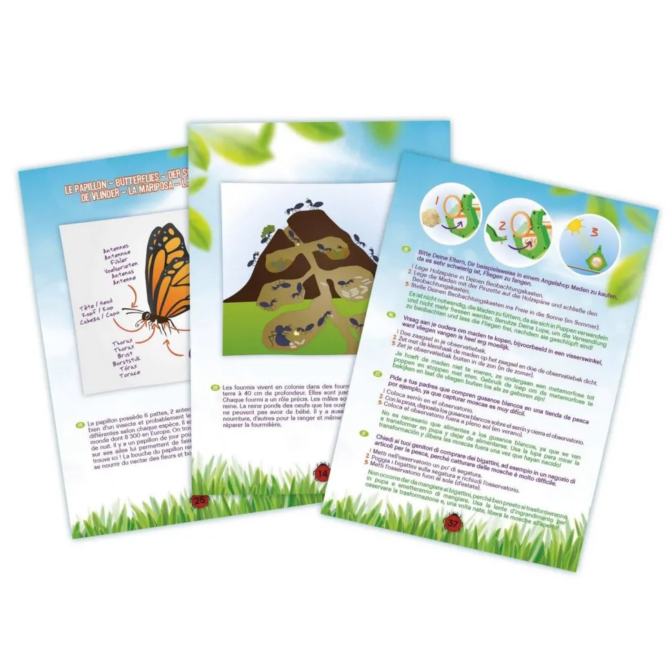 Explorateur à insectes - Buki France