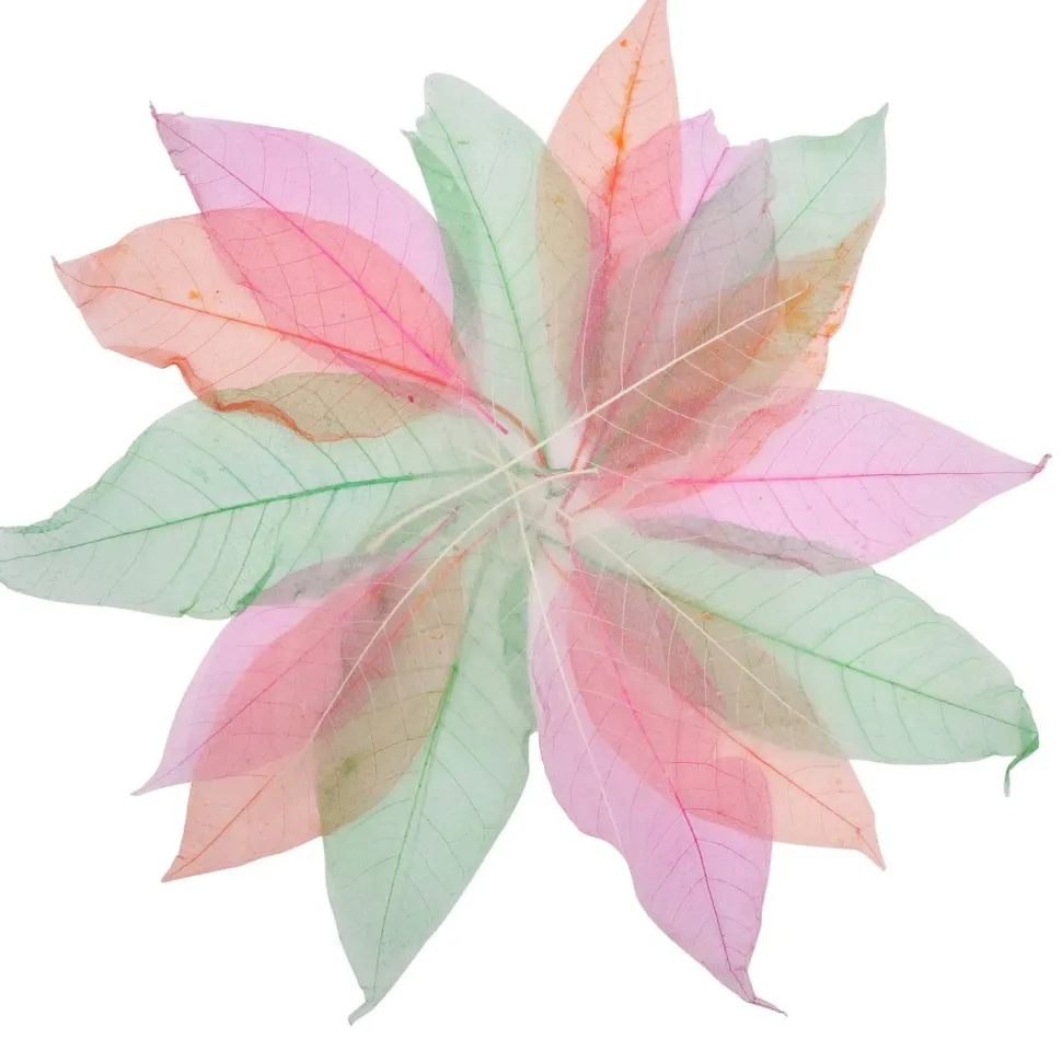 Feuilles transparentes, set de 20 - Eduplay