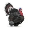 Figurine : Animaux de la ferme : Dindon - Figurines Collecta