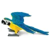 Figurine Ara bleu + or - Safari Ltd