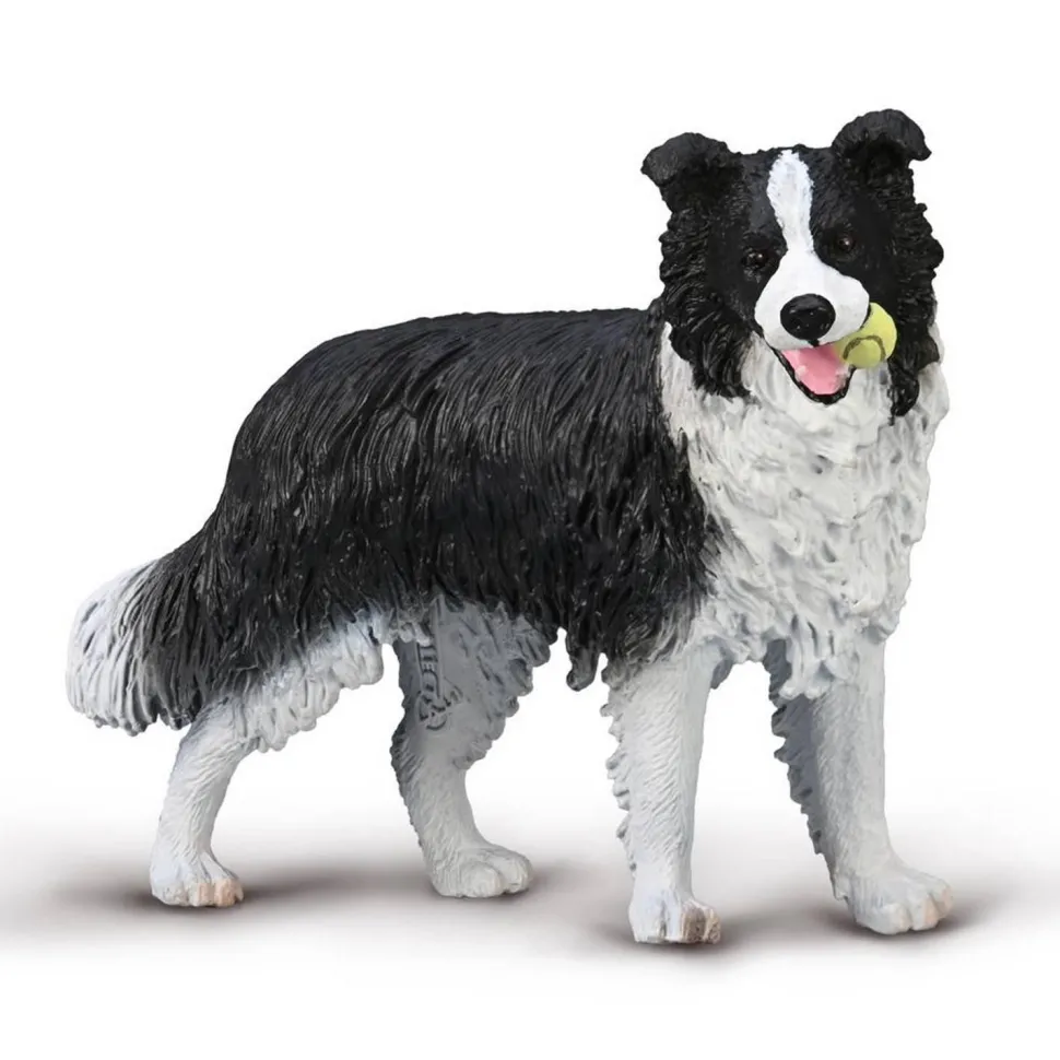 Figurine : Border Collie - (L) - Figurines Collecta