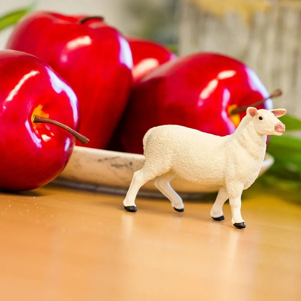 Figurine Brebis - Safari Ltd