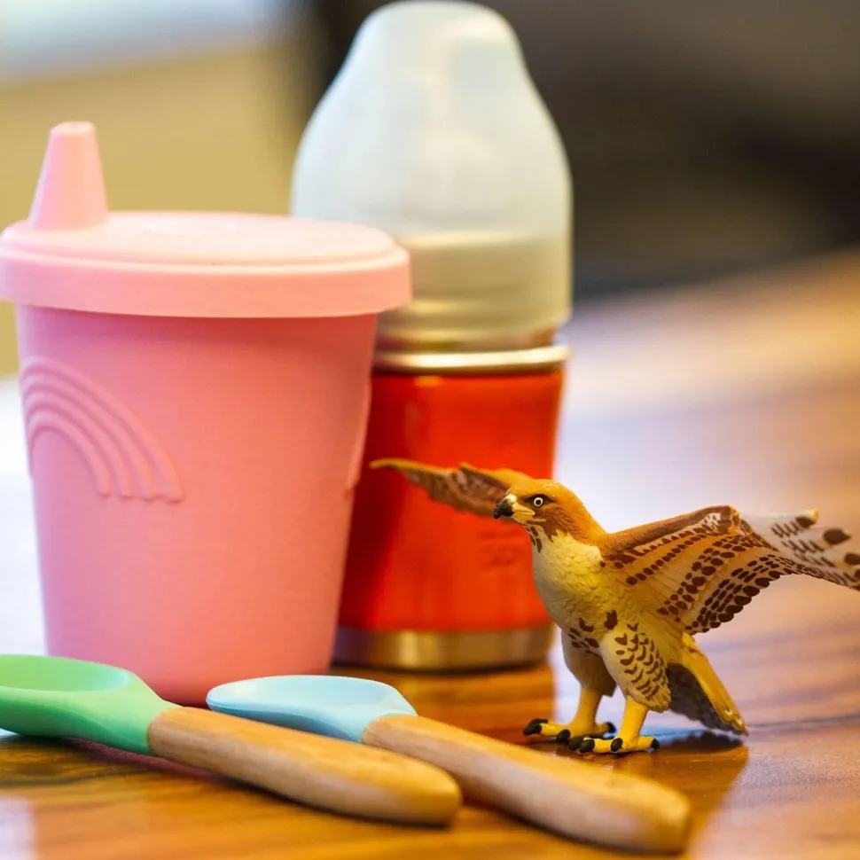 Figurine Buse à queue rousse - Safari Ltd