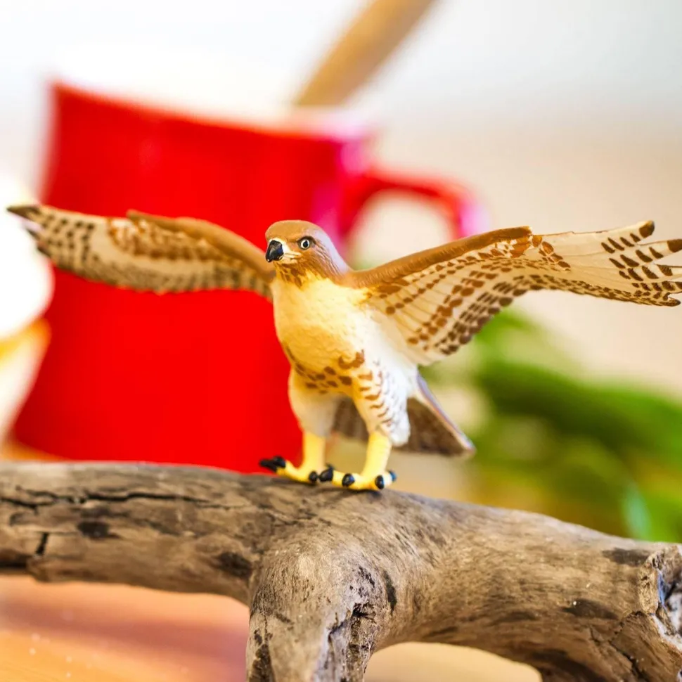 Figurine Buse à queue rousse - Safari Ltd