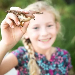 Figurine Buse à queue rousse - Safari Ltd