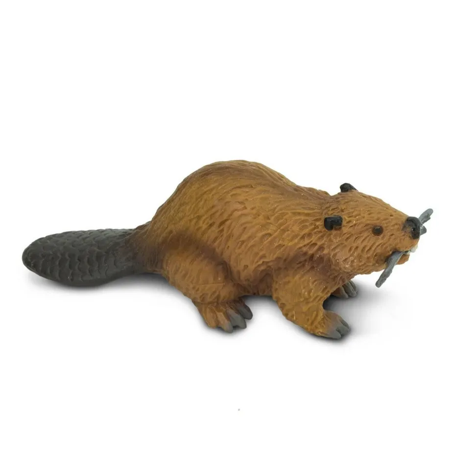 Figurine Castor - Safari Ltd