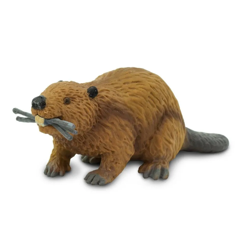 Figurine Castor - Safari Ltd