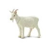 Figurine Chèvre femelle - Safari Ltd
