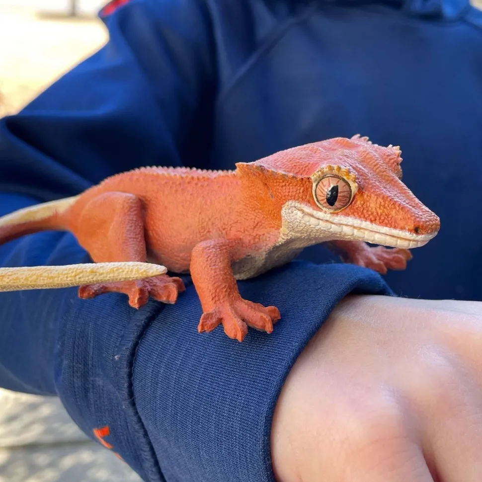 Figurine Gecko à crête - Safari Ltd