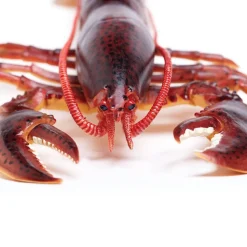 Figurine Homard - Safari Ltd