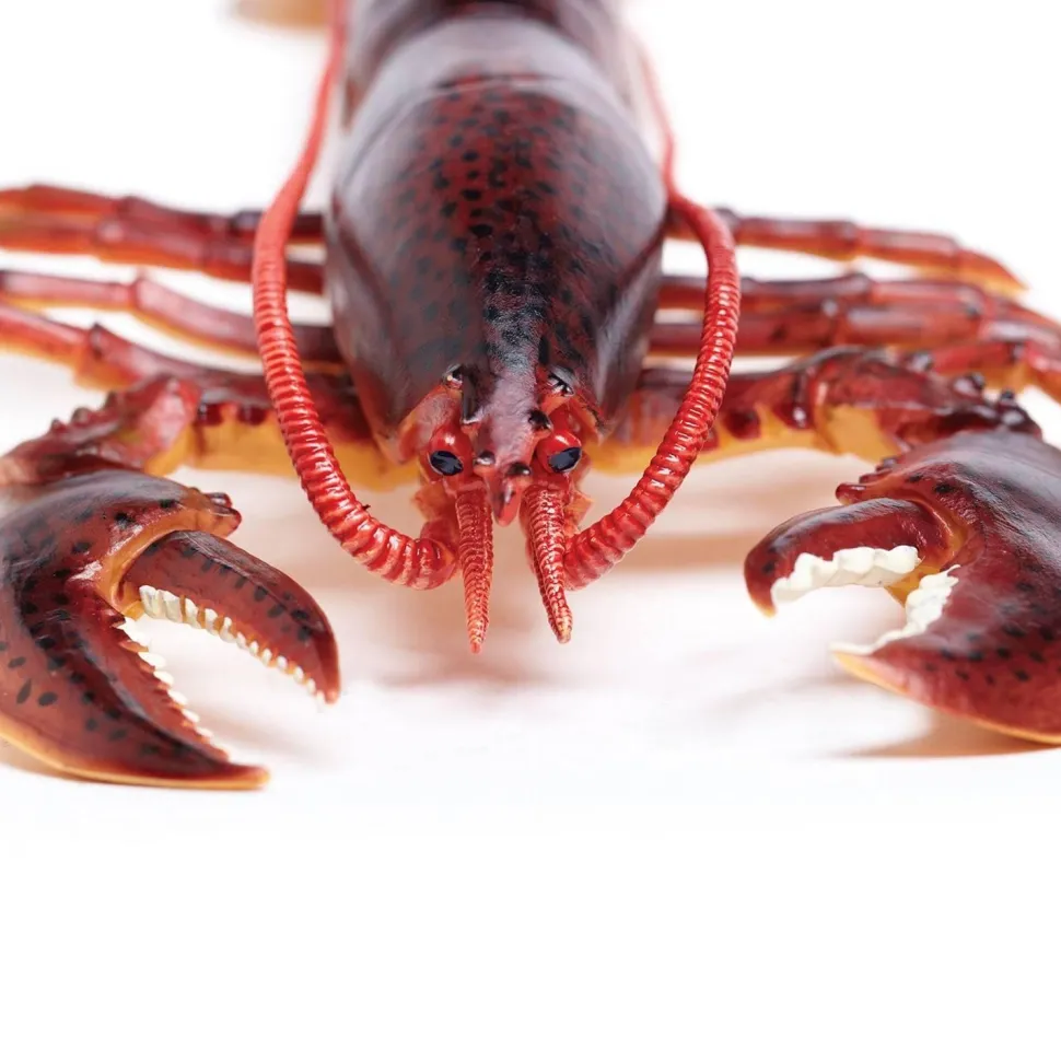 Figurine Homard - Safari Ltd