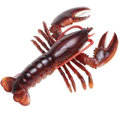 Figurine Homard - Safari Ltd