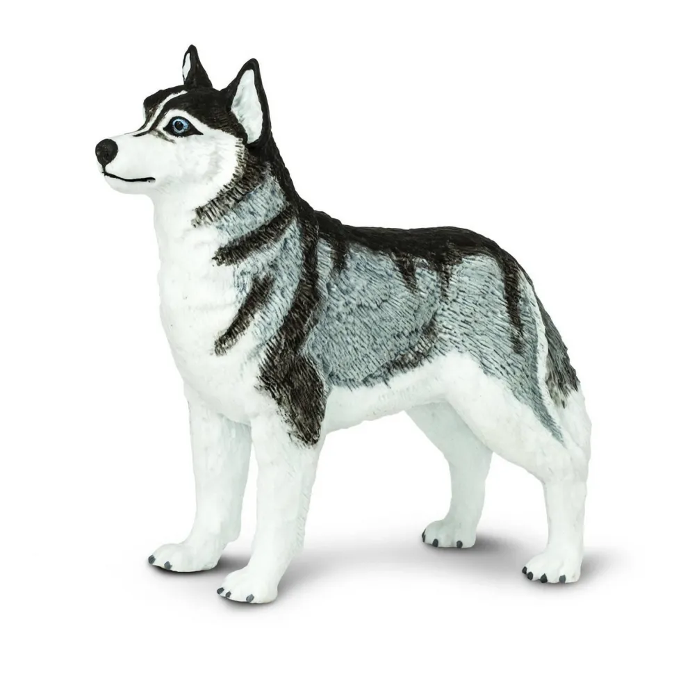 Figurine Husky de Sibérie - Safari Ltd