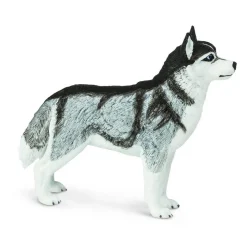 Figurine Husky de Sibérie - Safari Ltd