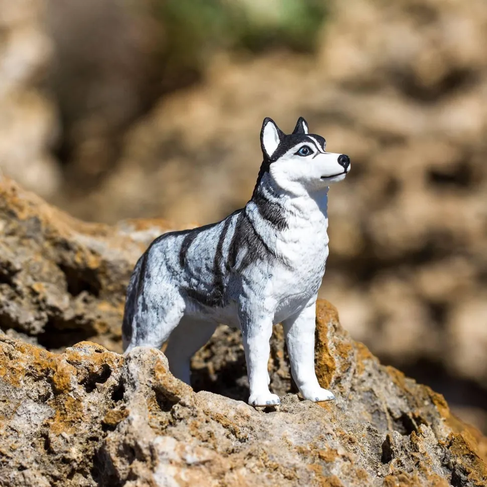 Figurine Husky de Sibérie - Safari Ltd