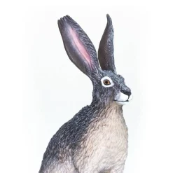 Figurine Lièvre du désert américain - Safari Ltd