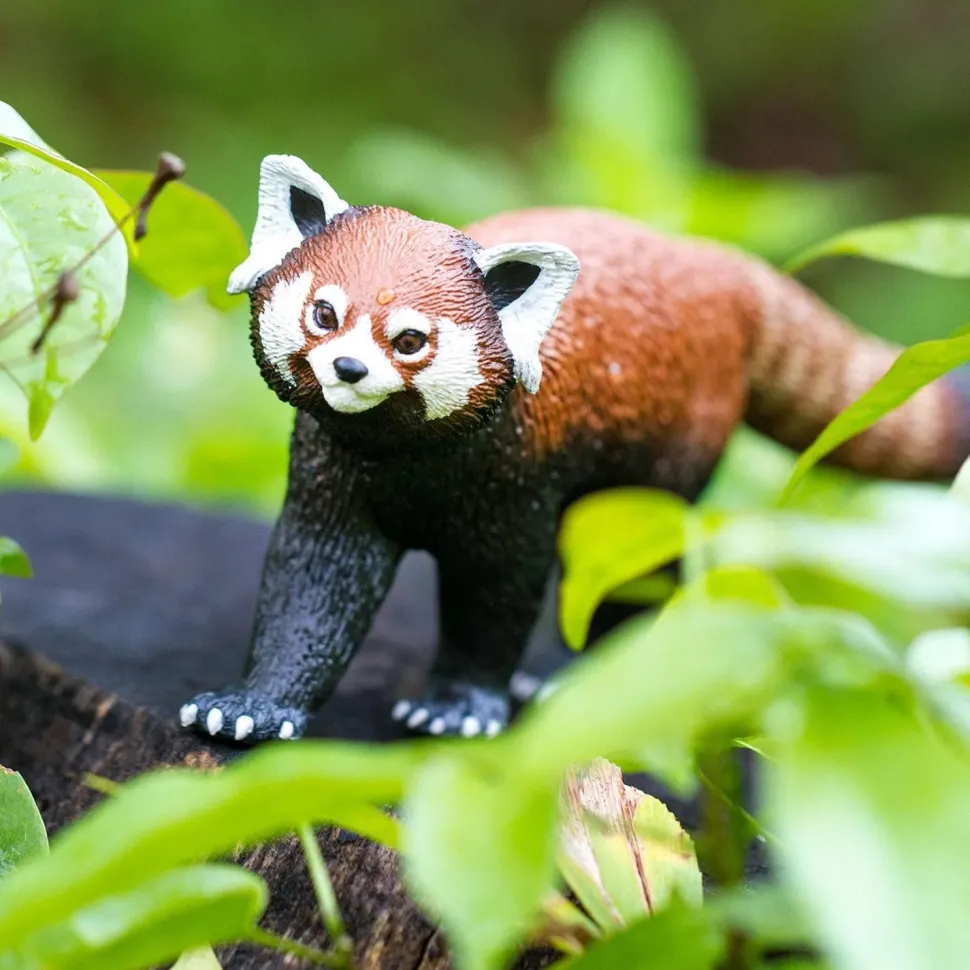 Figurine Panda roux - Safari Ltd