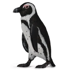 Figurine : Pingouin d'Afrique du Sud - Figurines Collecta