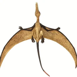 Figurine Ramphorhynchus - Safari Ltd