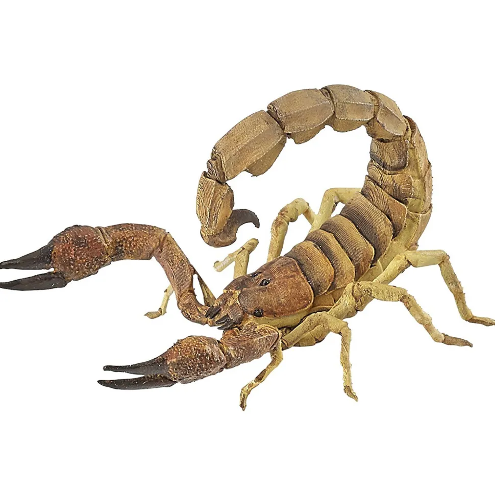 Figurine : Scorpion - Papo