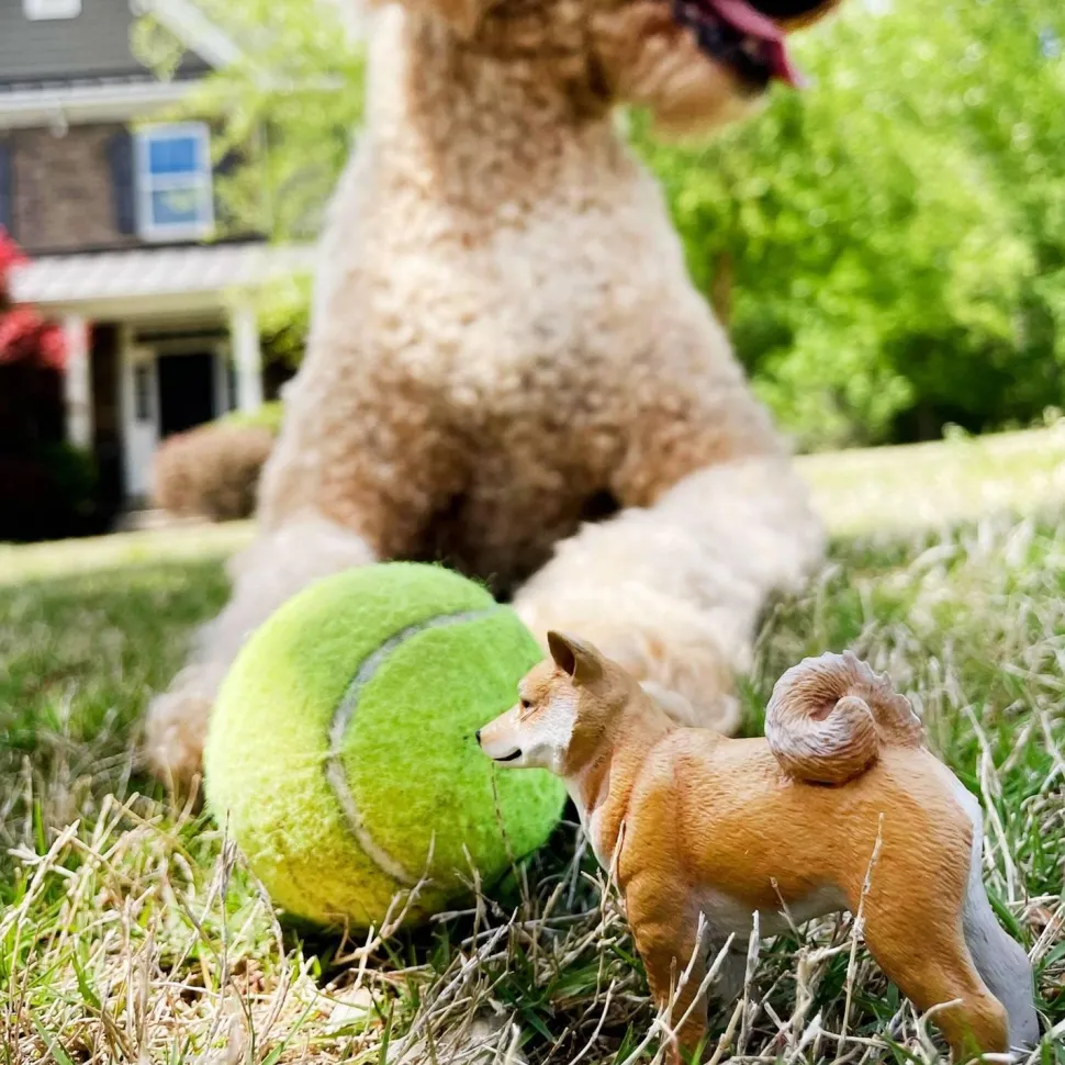 Figurine Shiba Inu - Safari Ltd