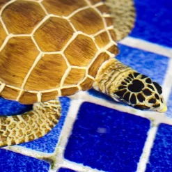 Figurine Tortue Caouanne - Safari Ltd