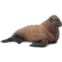 Figurine animaux marins : Bébé morse - Figurines Collecta