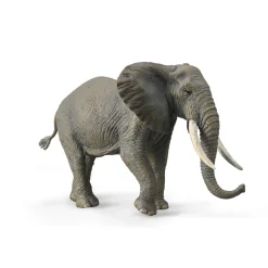Figurine Animaux Sauvages (XL) : Éléphant Africain - Figurines Collecta