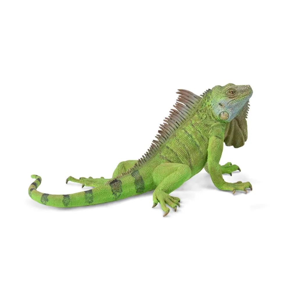 Figurine Animaux Sauvages (XL) : Iguane Vert - Figurines Collecta