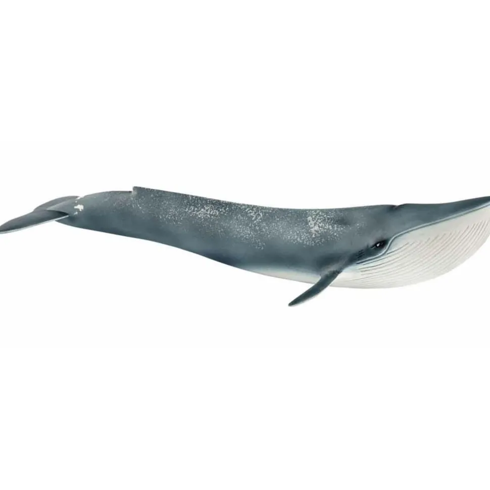Figurine baleine bleue - Schleich