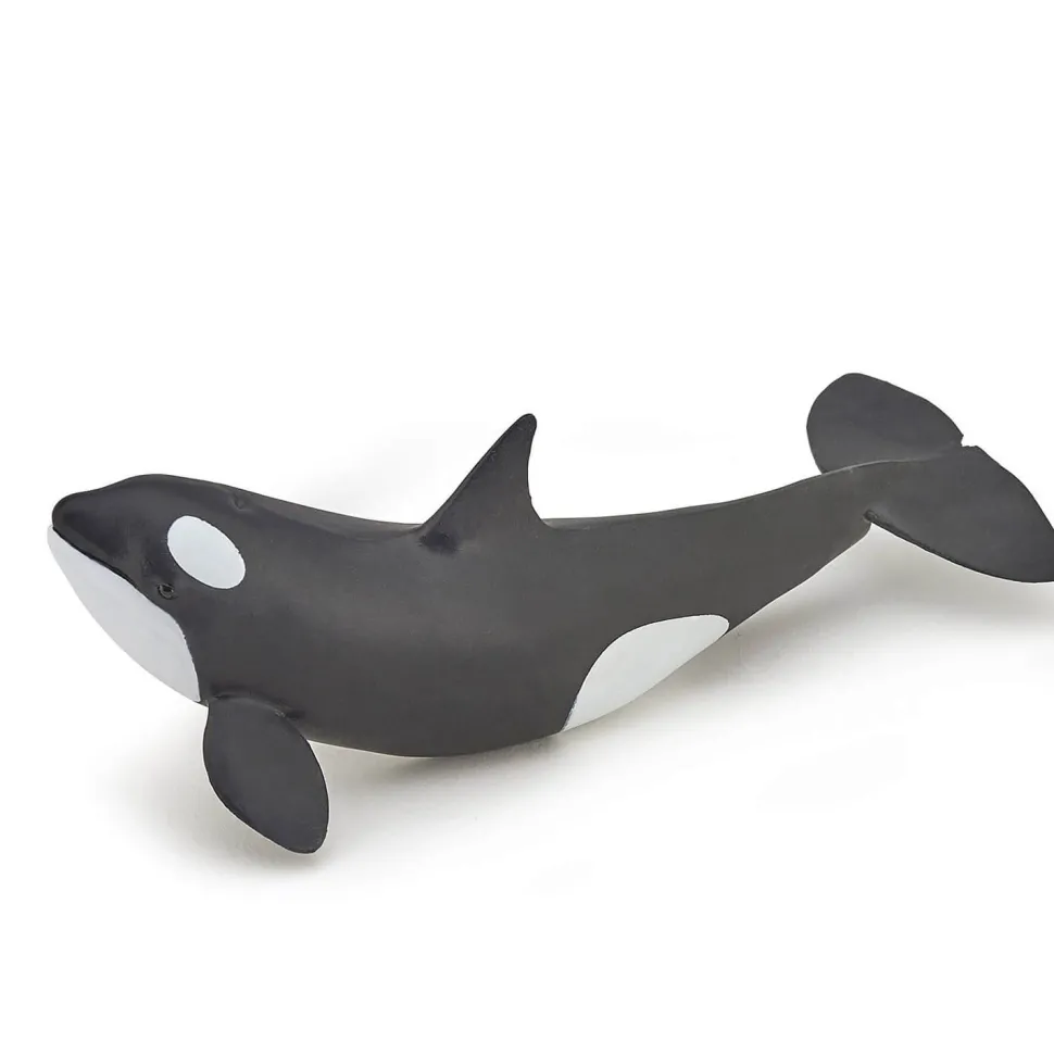 Figurine Bébé Orque - Papo