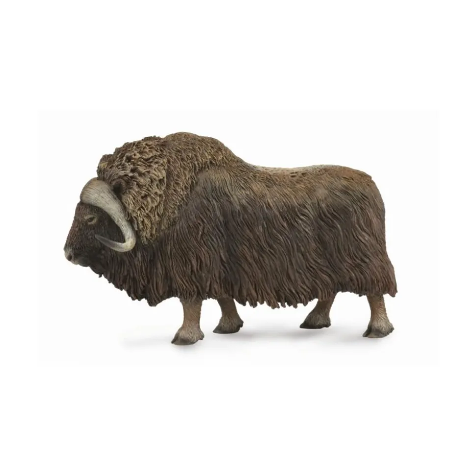 Figurine Boeuf musqué - Figurines Collecta