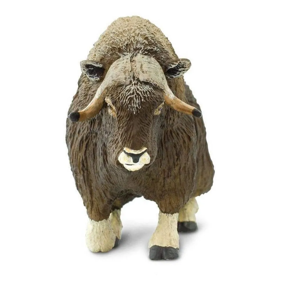Figurine Boeuf musqué - Safari Ltd