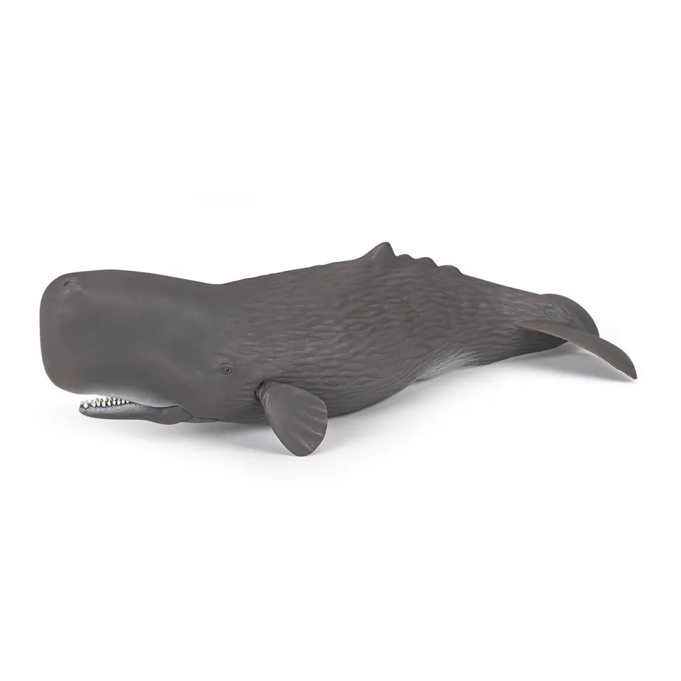 Figurine cachalot - Papo