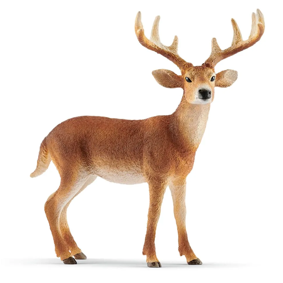 Figurine Cerf de Virginie - Schleich