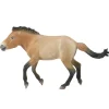 Figurine cheval : Przewalski étalon - Figurines Collecta