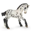 Figurine Cheval appaloosa noir : Poulain - Papo
