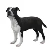 Figurine Chien : American Staffordshire Terrier - Figurines Collecta