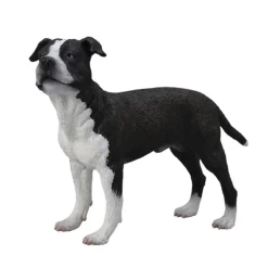 Figurine Chien : American Staffordshire Terrier - Figurines Collecta