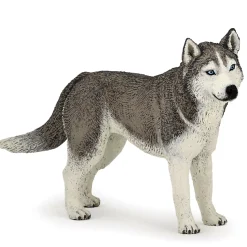 Figurine chien : Husky de Sibérie - Papo