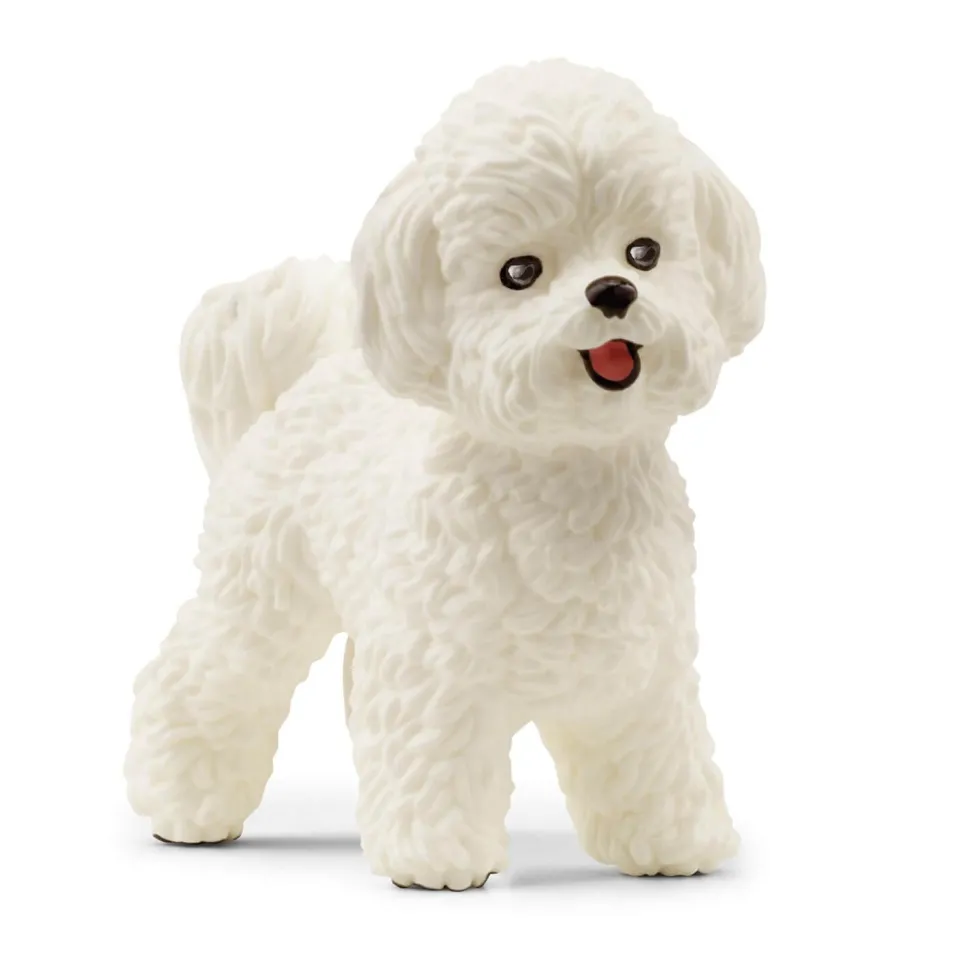 Figurine Farm World : Bichon Frisé - Schleich