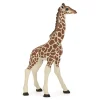 Figurine Girafe : Bébé 1 - Papo