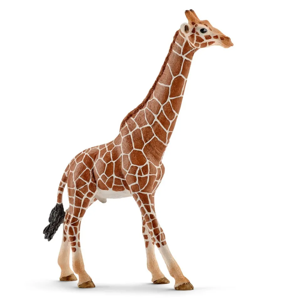 Figurine Girafe mâle - Schleich
