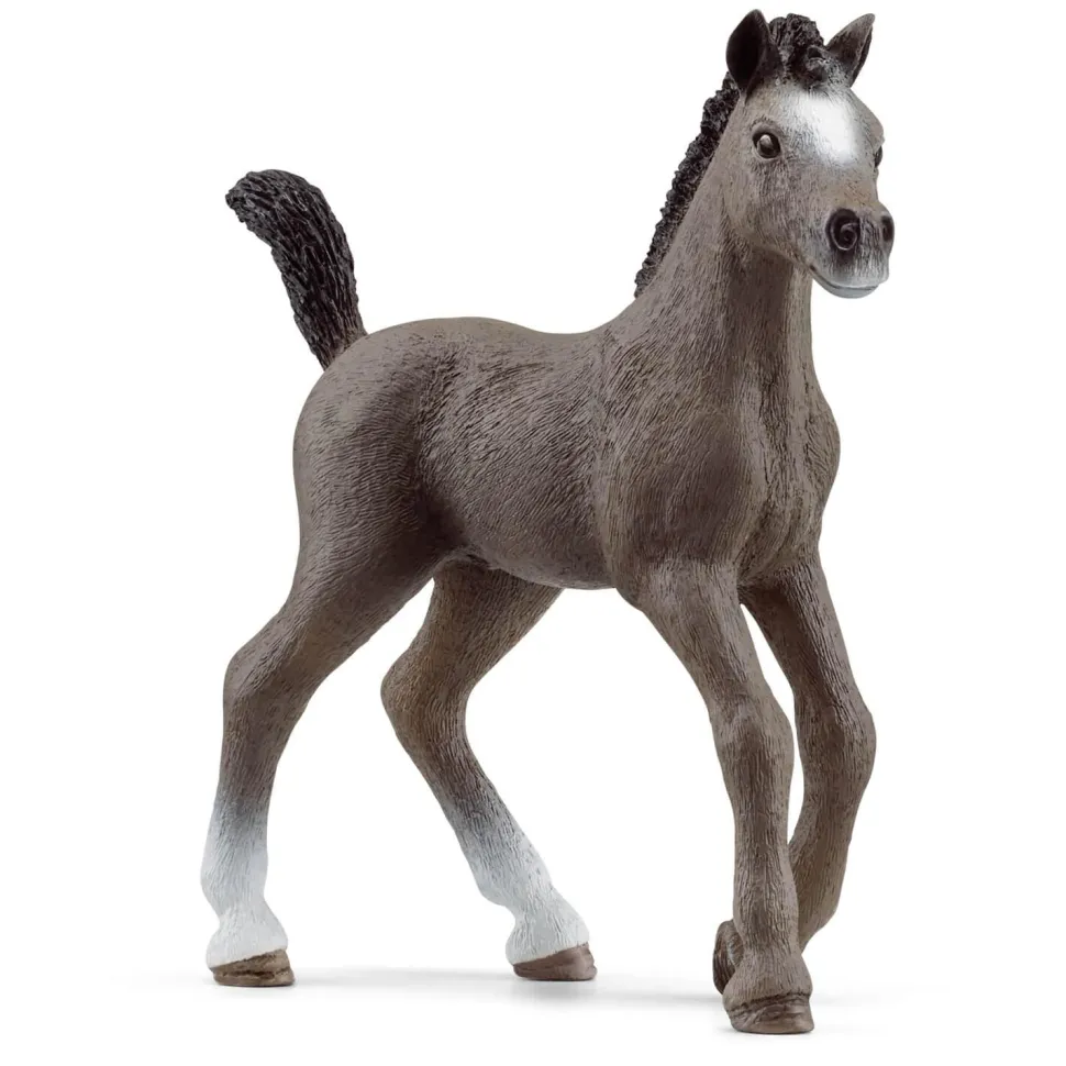Figurine Horse Club : Poulain Selle Français - Schleich