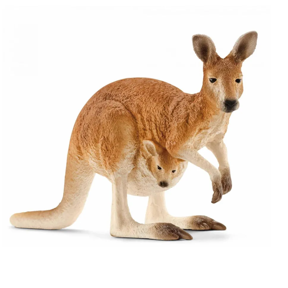Figurine kangourou - Schleich