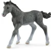 Figurine Poulain Trakehnen - Schleich