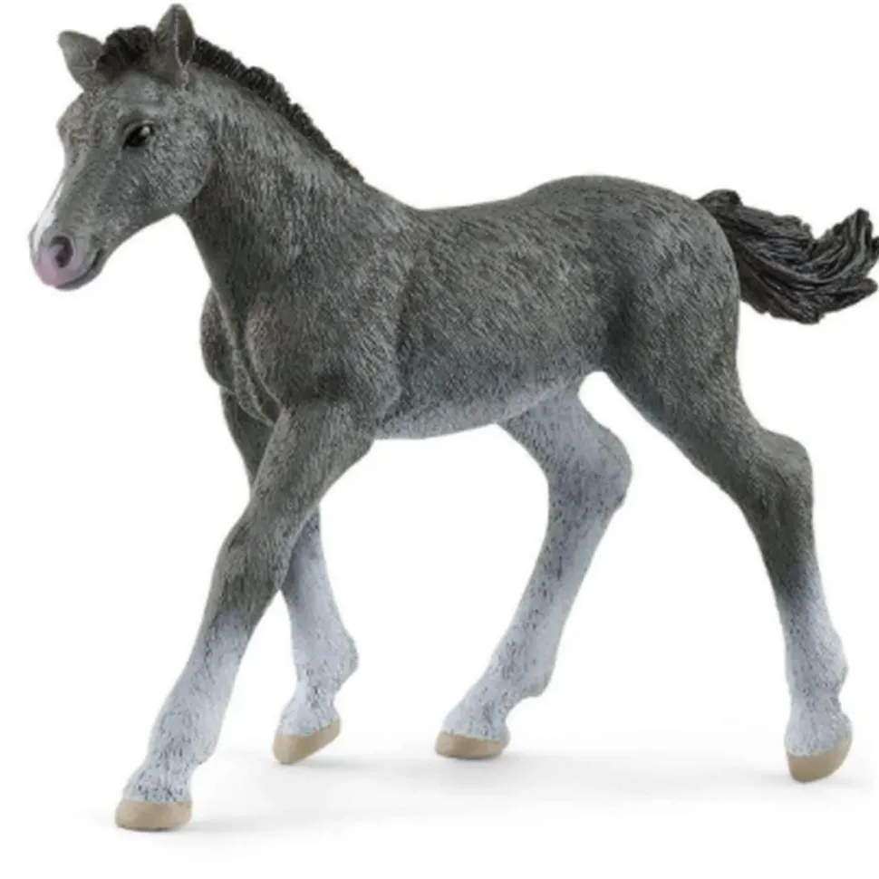 Figurine Poulain Trakehnen - Schleich