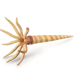 Figurine Préhistoire : Orthocères - Figurines Collecta